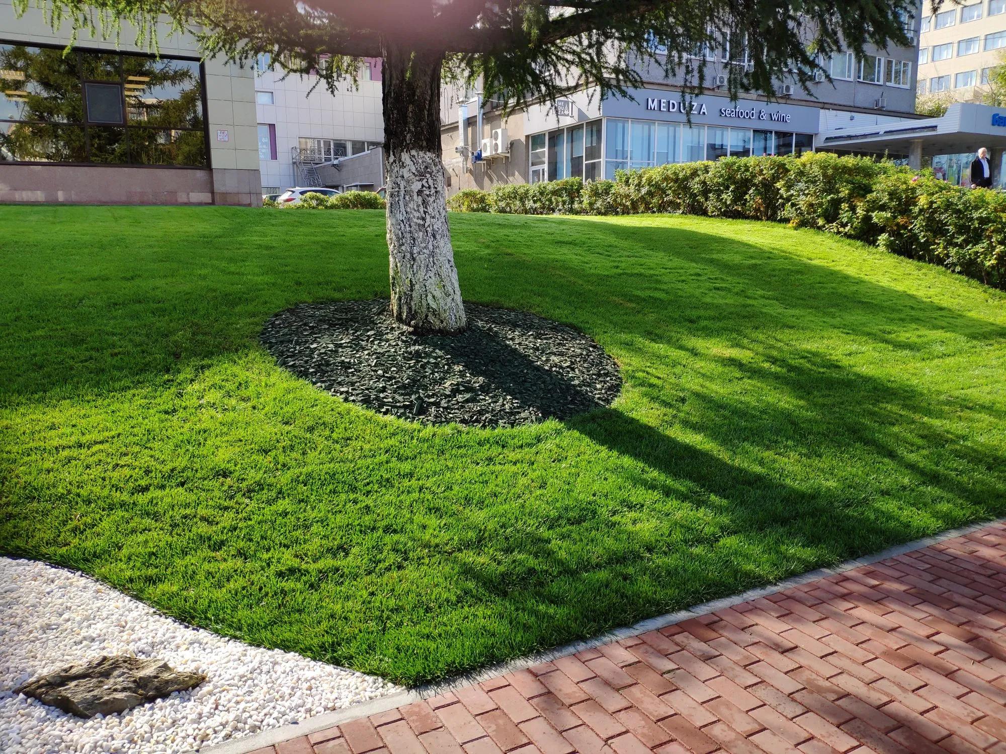 Благоустройство территории в Перми — Озеленение, асфальтирование, тротуарная плитка